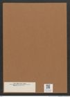 Diatomeae indet. Zeichnungen Sammlung Grunow Mappe 03388 (Herbarium_W_Grunow_drawings_Folder_03388)